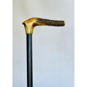 Cane 